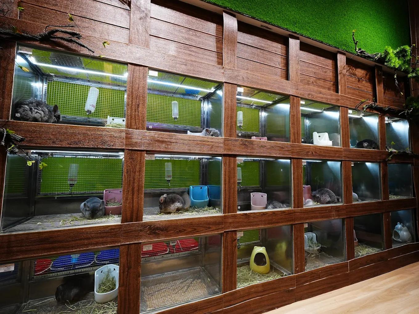Chinchilla Trading - Pet store section
