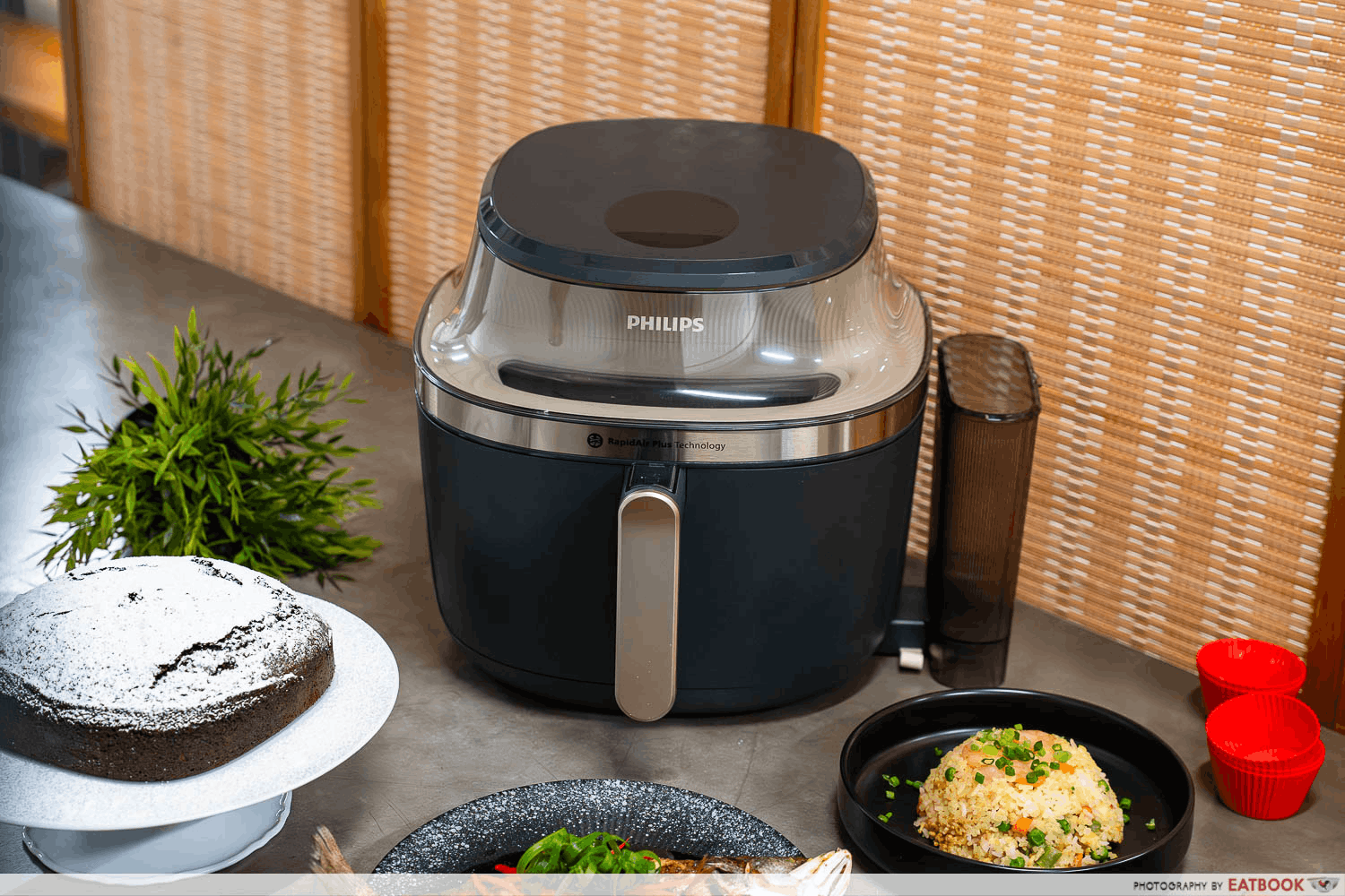 DBS 6.6 Steam Fryer