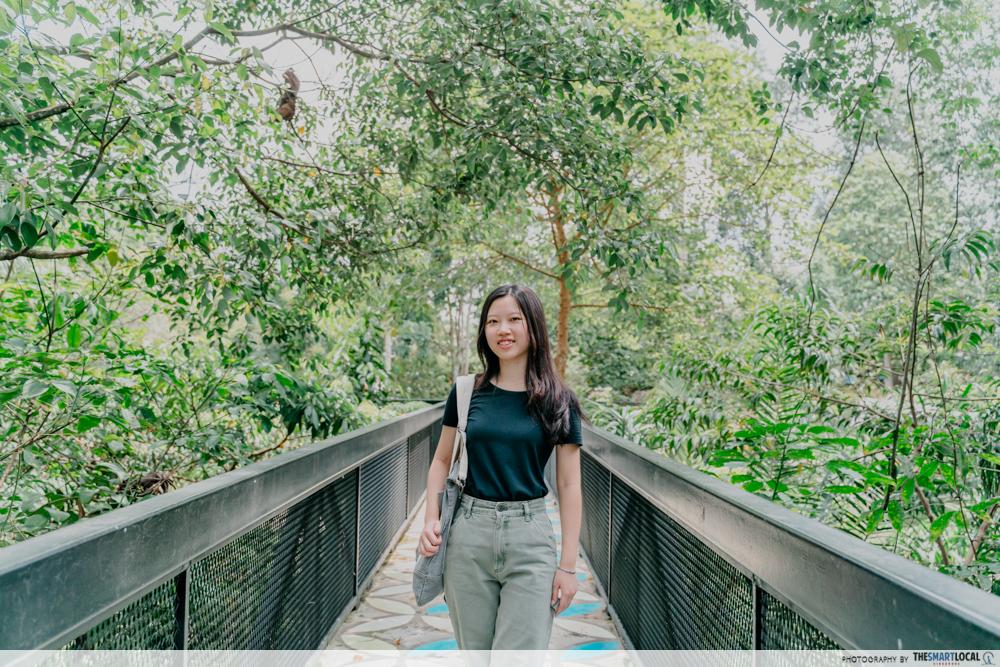 Hutan Bandar MBJB - Canopy walk