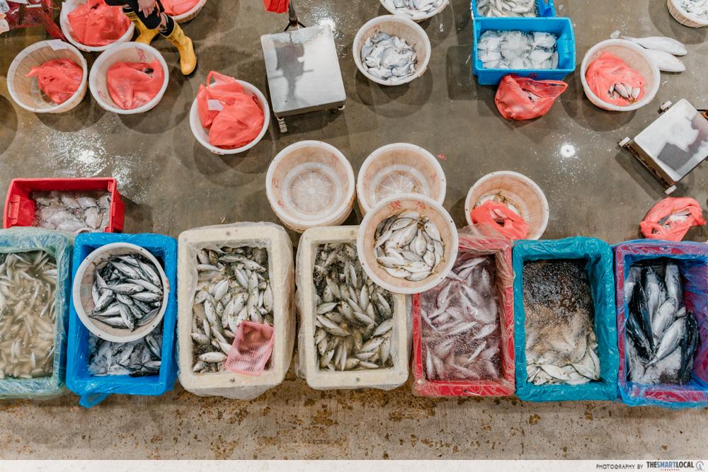 Jurong Fishery Port Tour - Market (6)