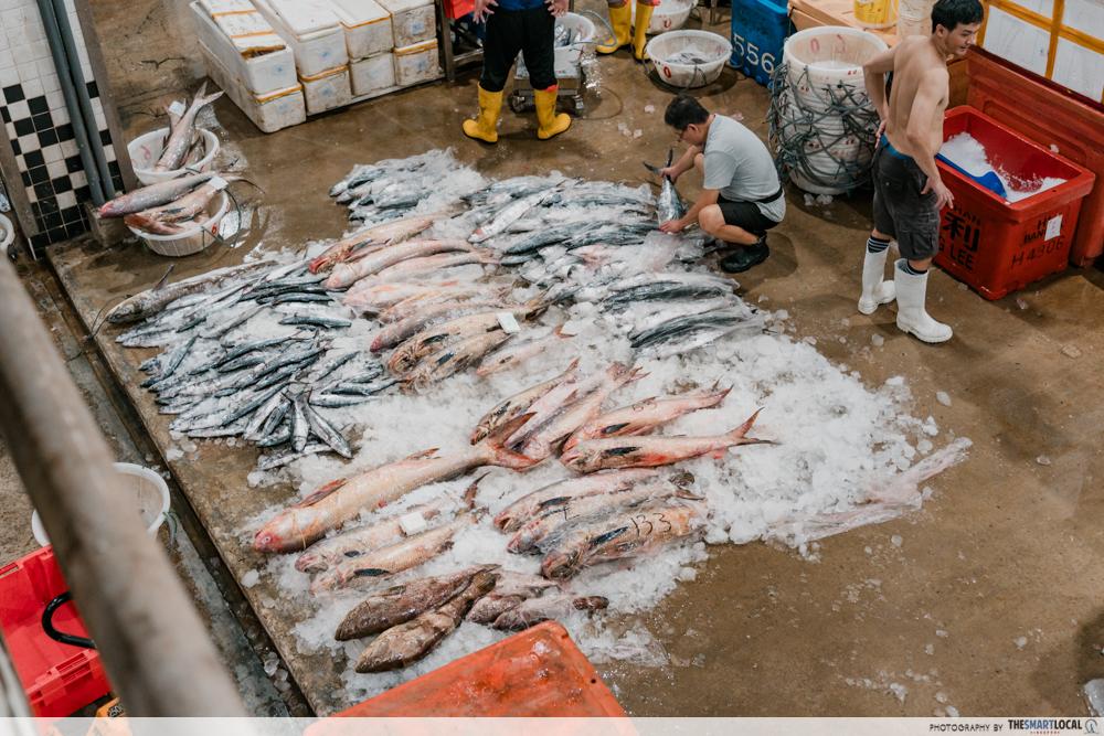 Jurong Fishery Port Tour - Market (7)