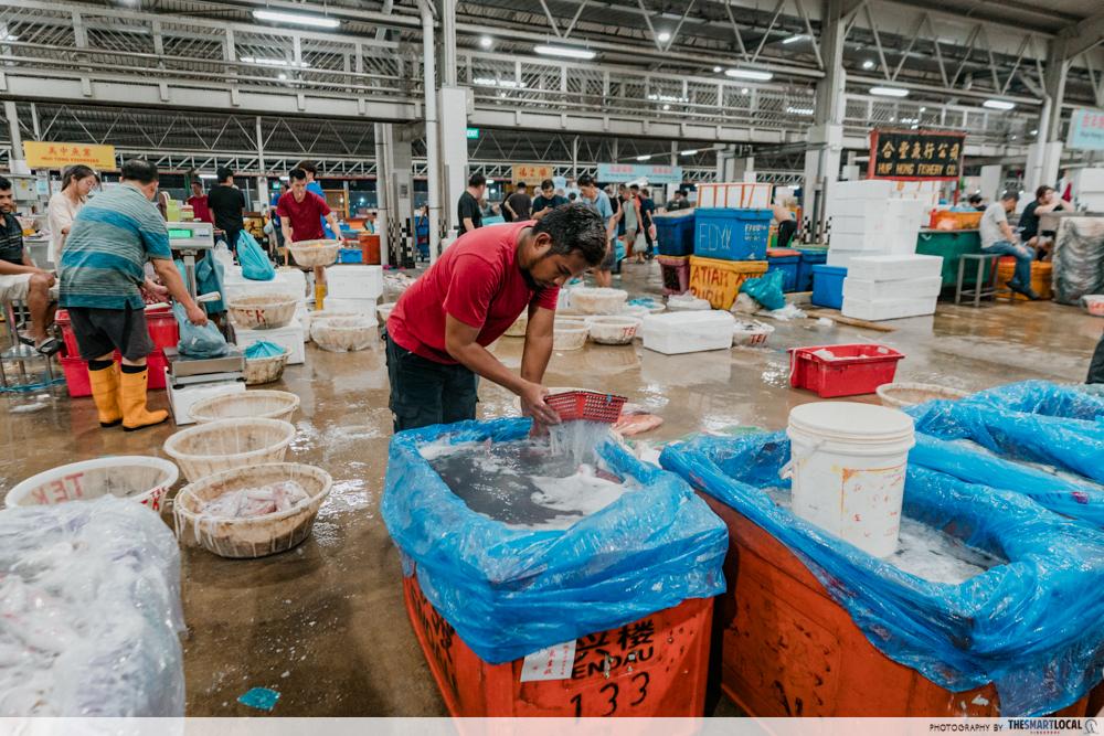 Jurong Fishery Port Tour - Market (8)