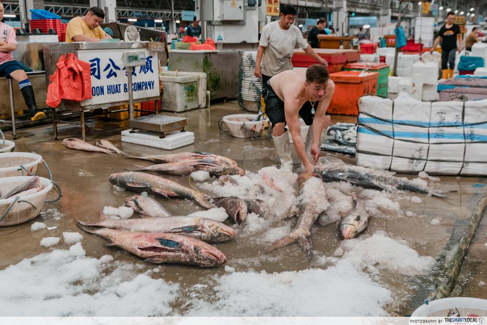 Jurong Fishery Port Tour - Market (9)