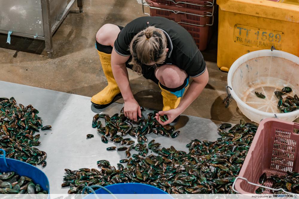 Jurong Fishery Port Tour - mussels