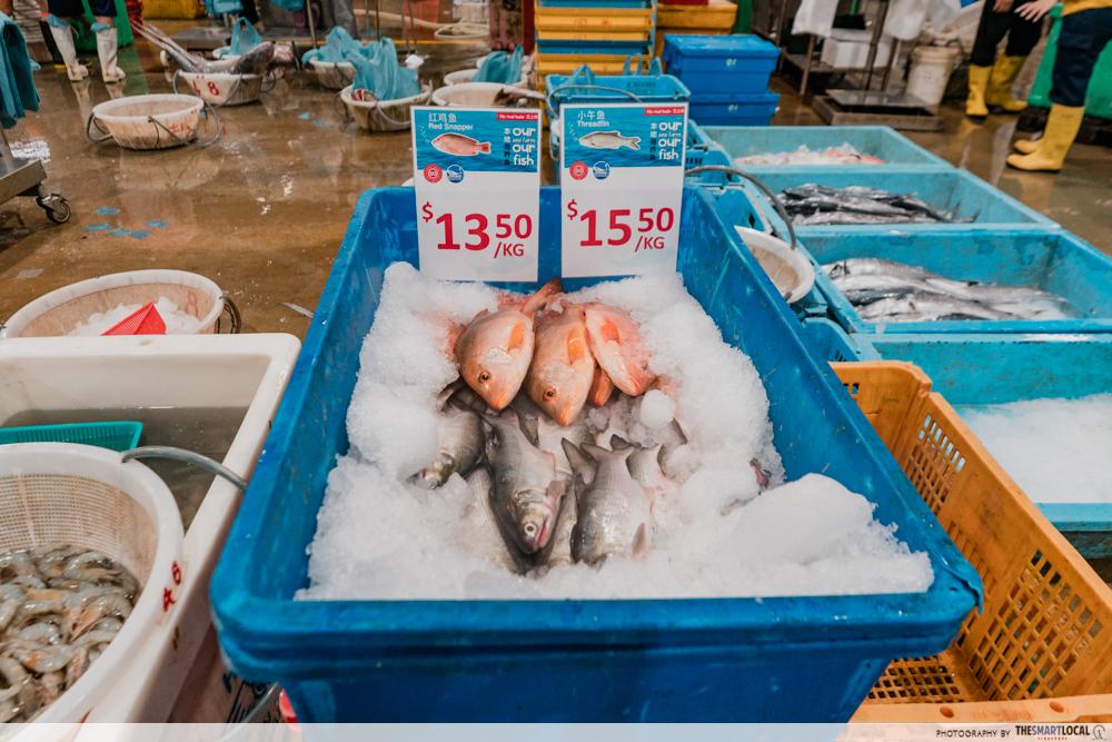 Jurong Fishery Port Tour - price