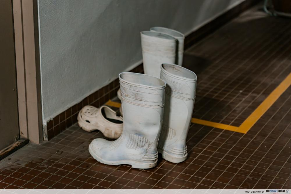 Jurong Fishery Port - rubber boots