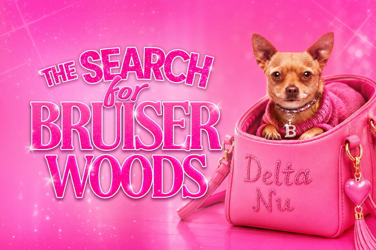 The Search for Bruiser Woods poster