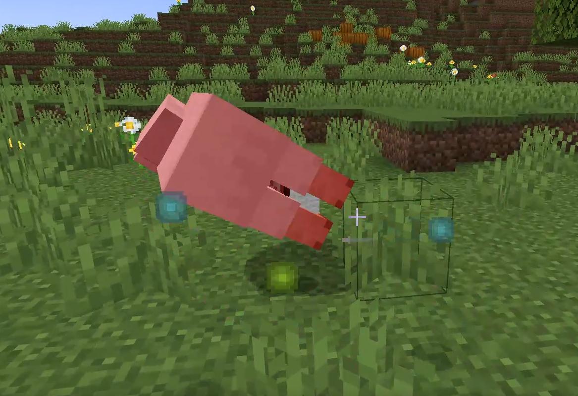Minecraft sheep dying