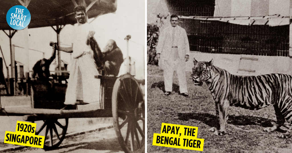 Punggol Zoo in 1920s Singapore