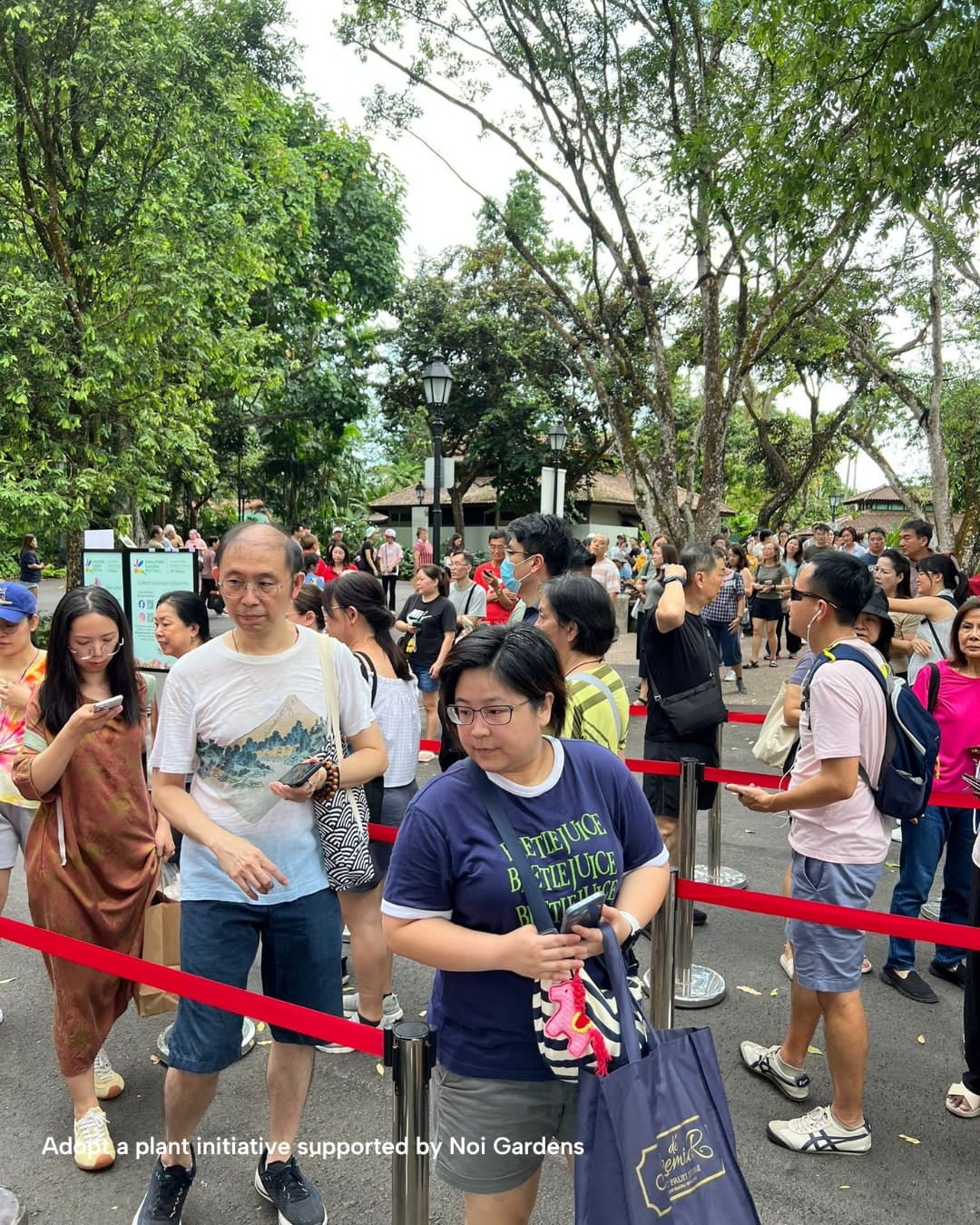 Singapore Garden Festival - Adopt a Plant giveaway - queues