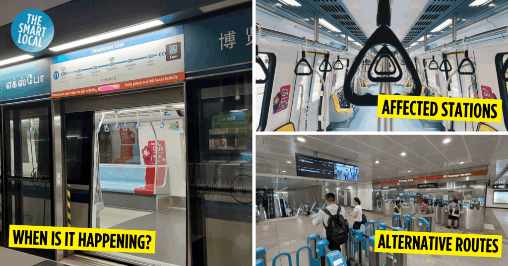 Train Service Adjustments for TEL and DTL