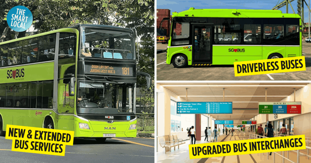 bus network - cover image