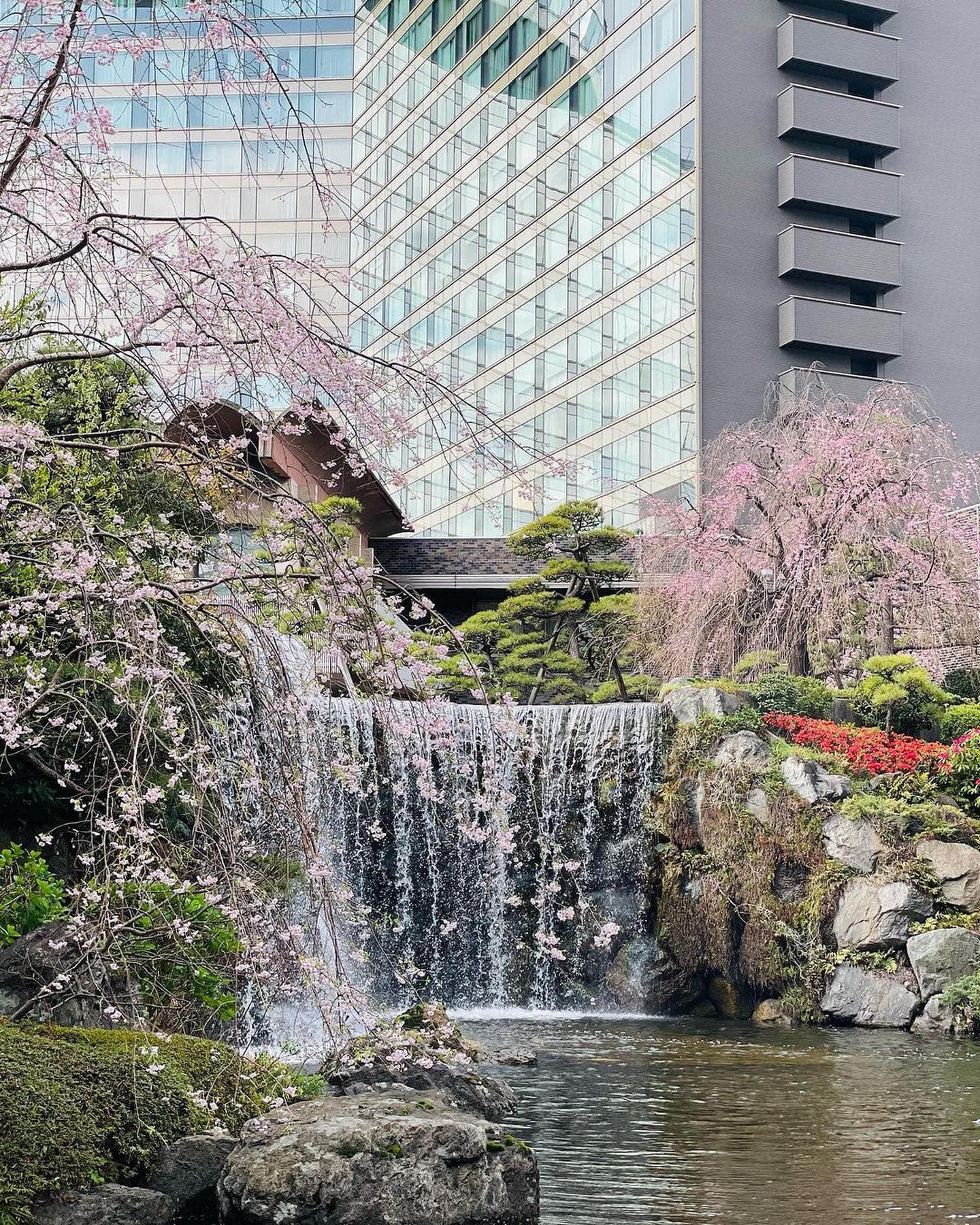 hotel new otani sakura