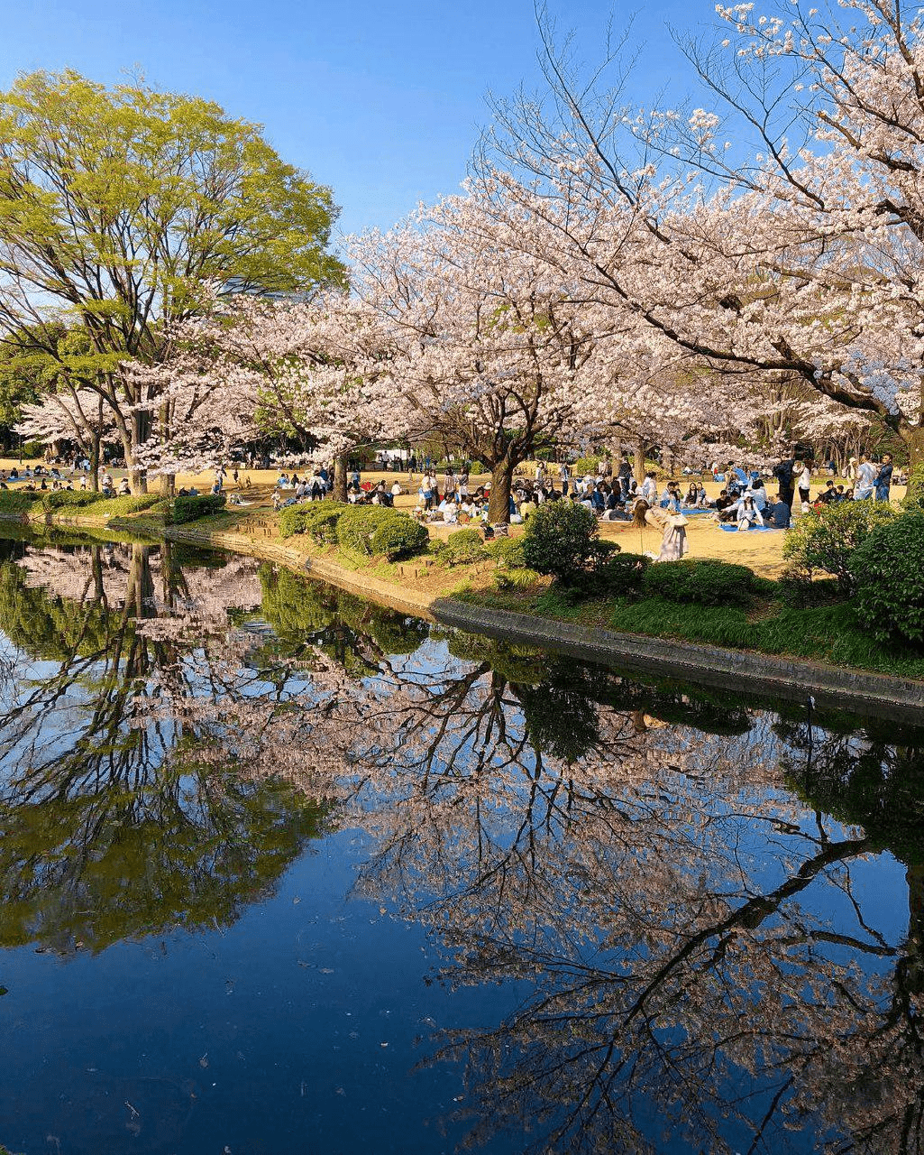 free things to do in tokyo - imperial palace