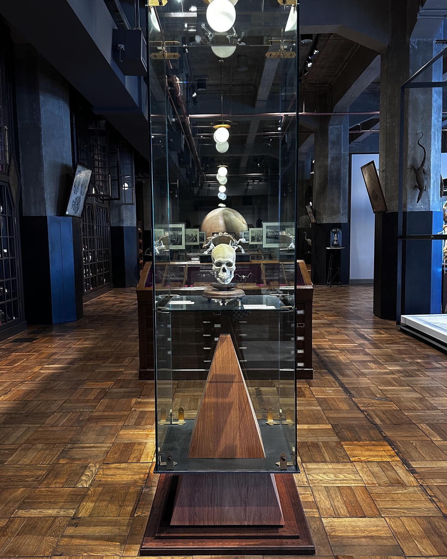 free things to do in tokyo - intermediatheque