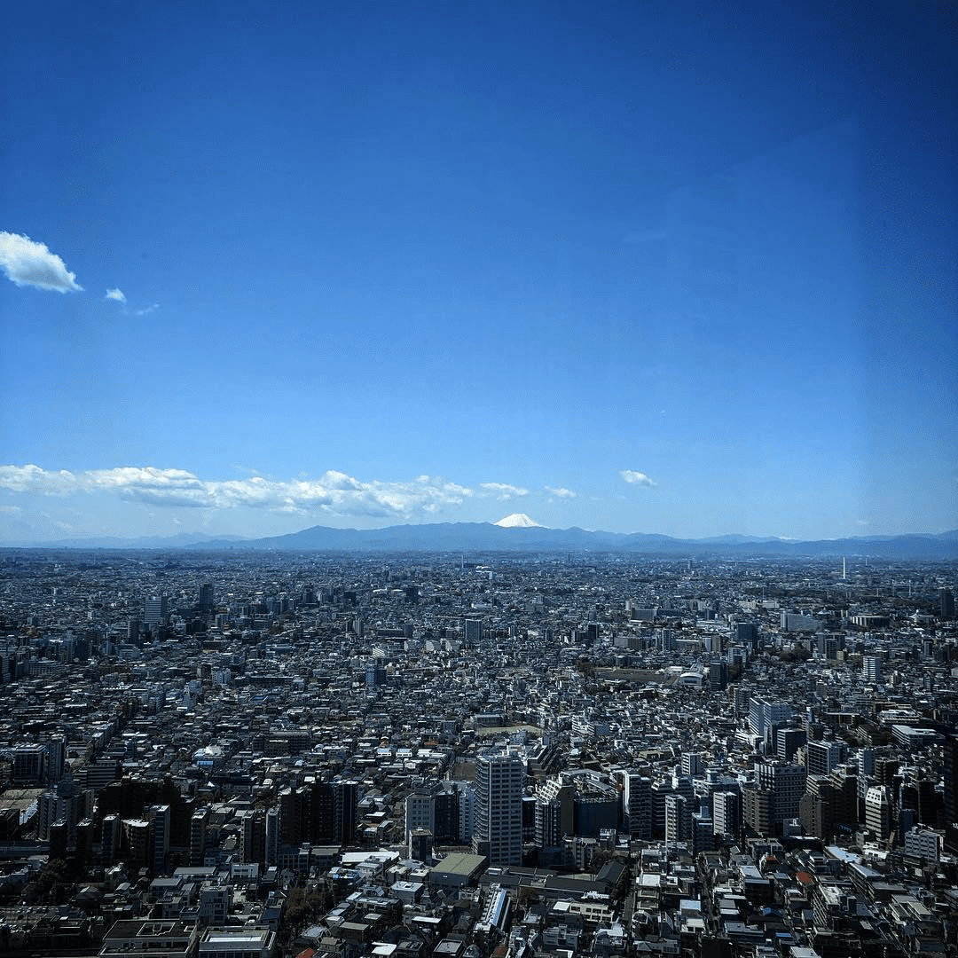 free things to do in tokyo - tokyo metropolitan government building observatory