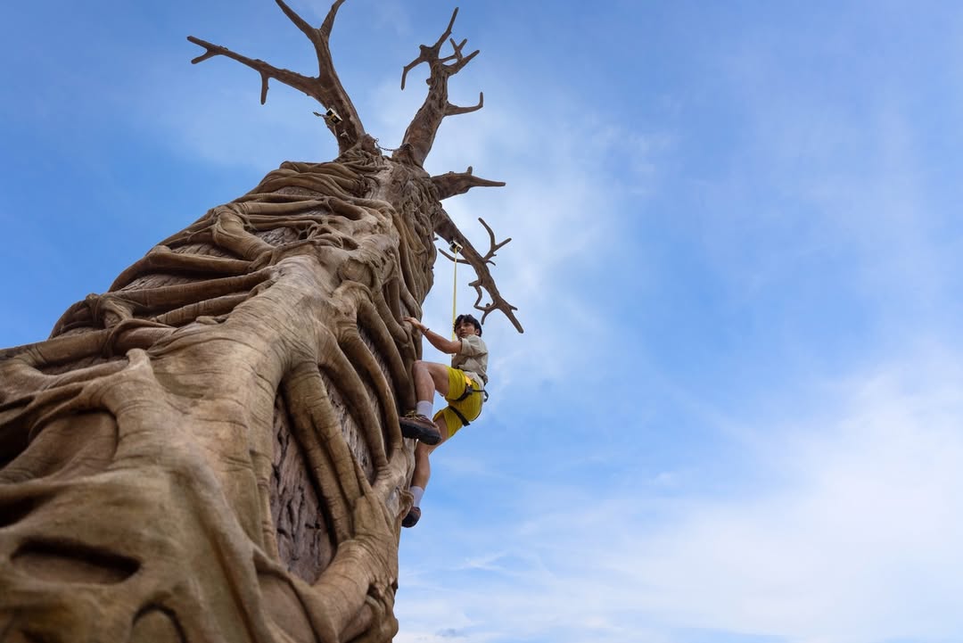 Treetop Traverse