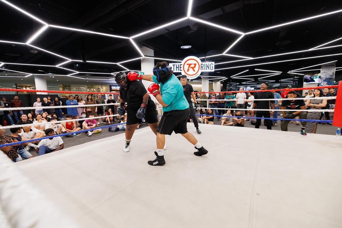 The Ring Boxing Community