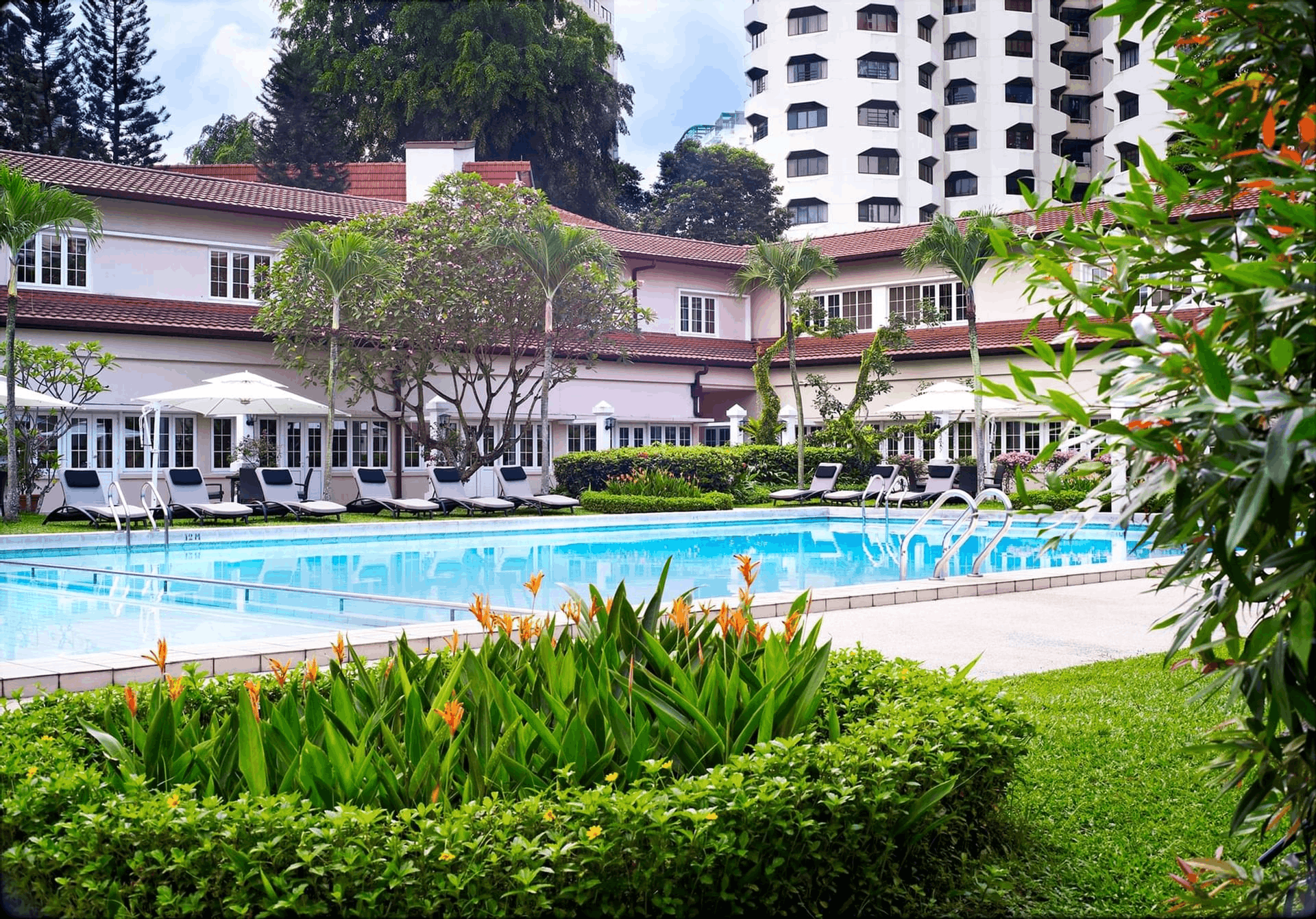 main pool