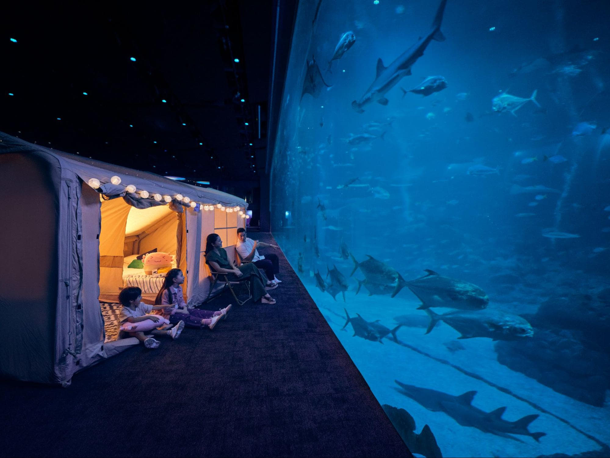 june holidays 2026 - ocean dreams