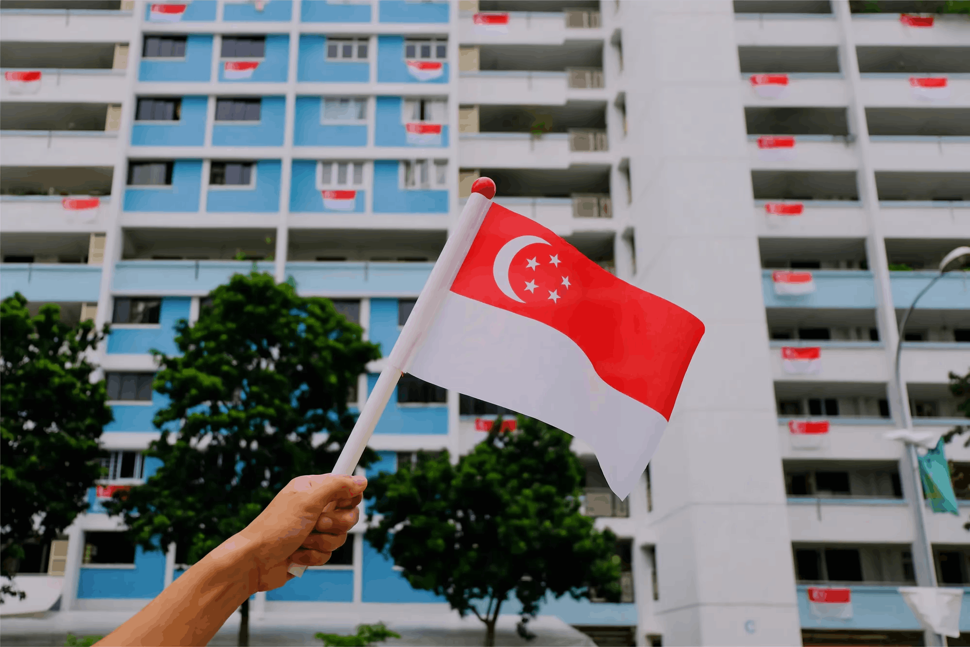 ndp 2026 