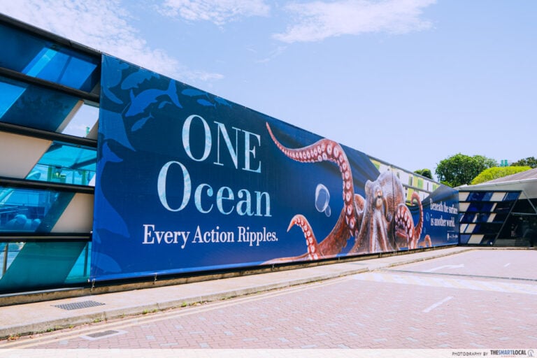 Science Centre Singapore's ONE Ocean: Every Action Ripples