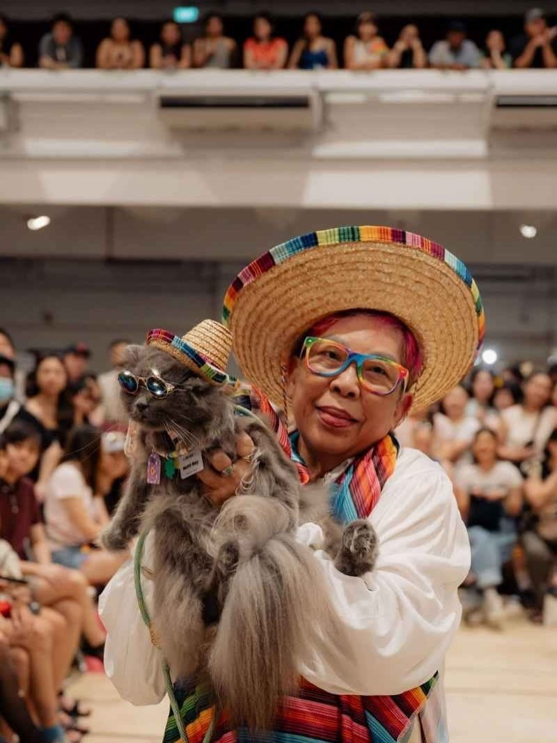 pasar pink the proud pet parade
