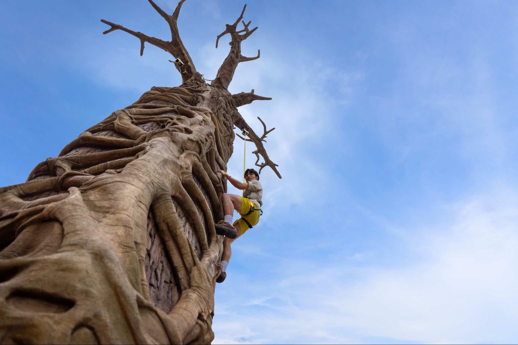 rainforest wild adventure - primate climb