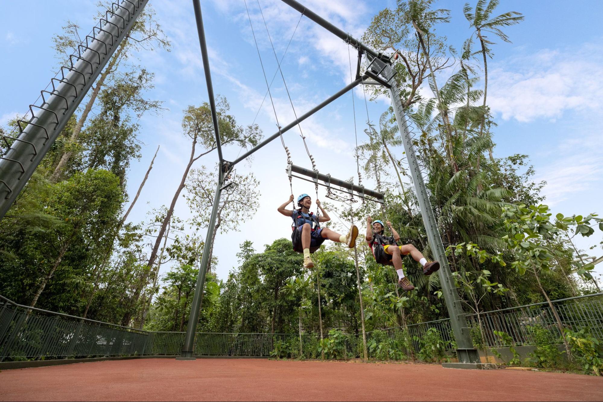rainforest wild adventure - ravine swing close-up