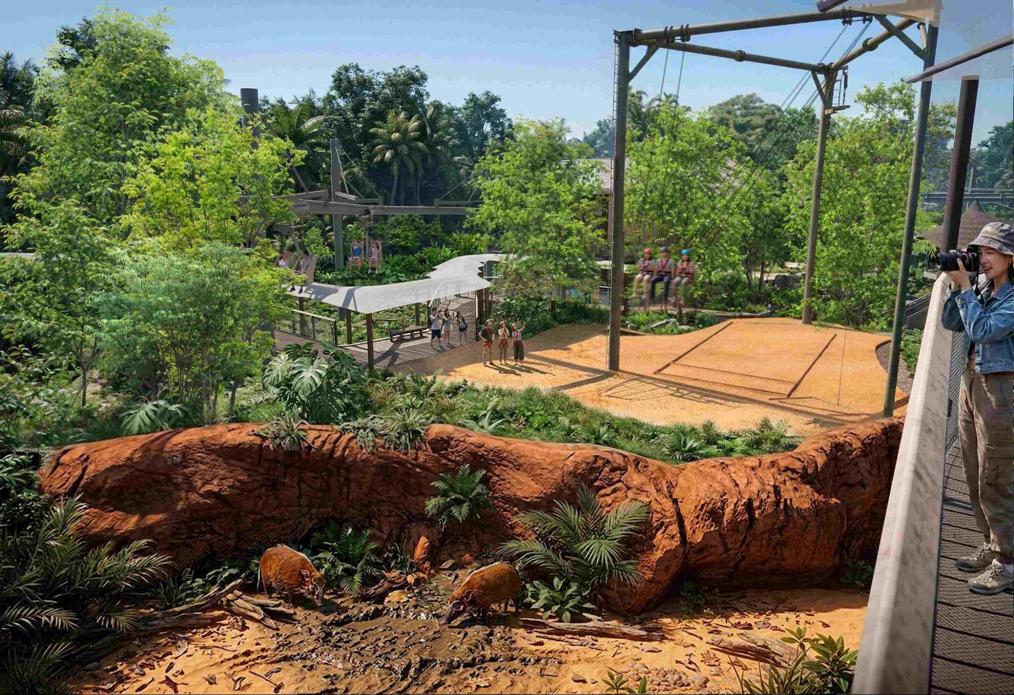 rainforest wild adventure - ravine swing intro