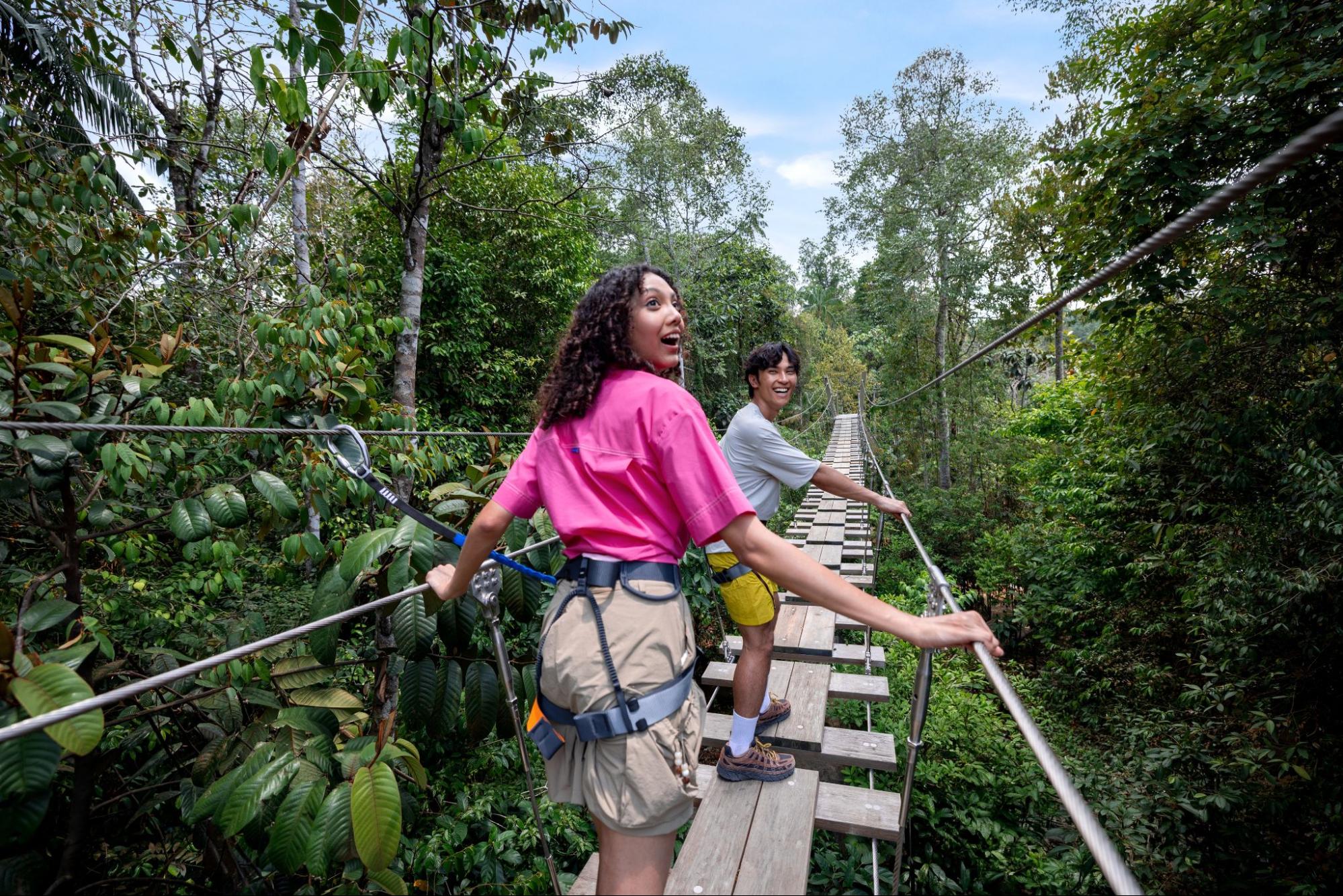rainforest wild adventure - treetop traverse