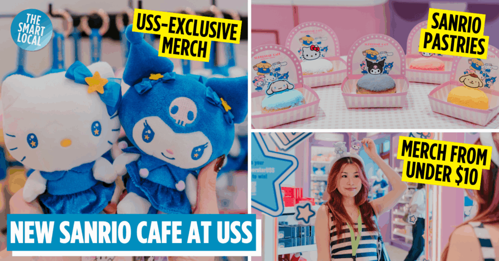 sanrio superstar boutique - cover