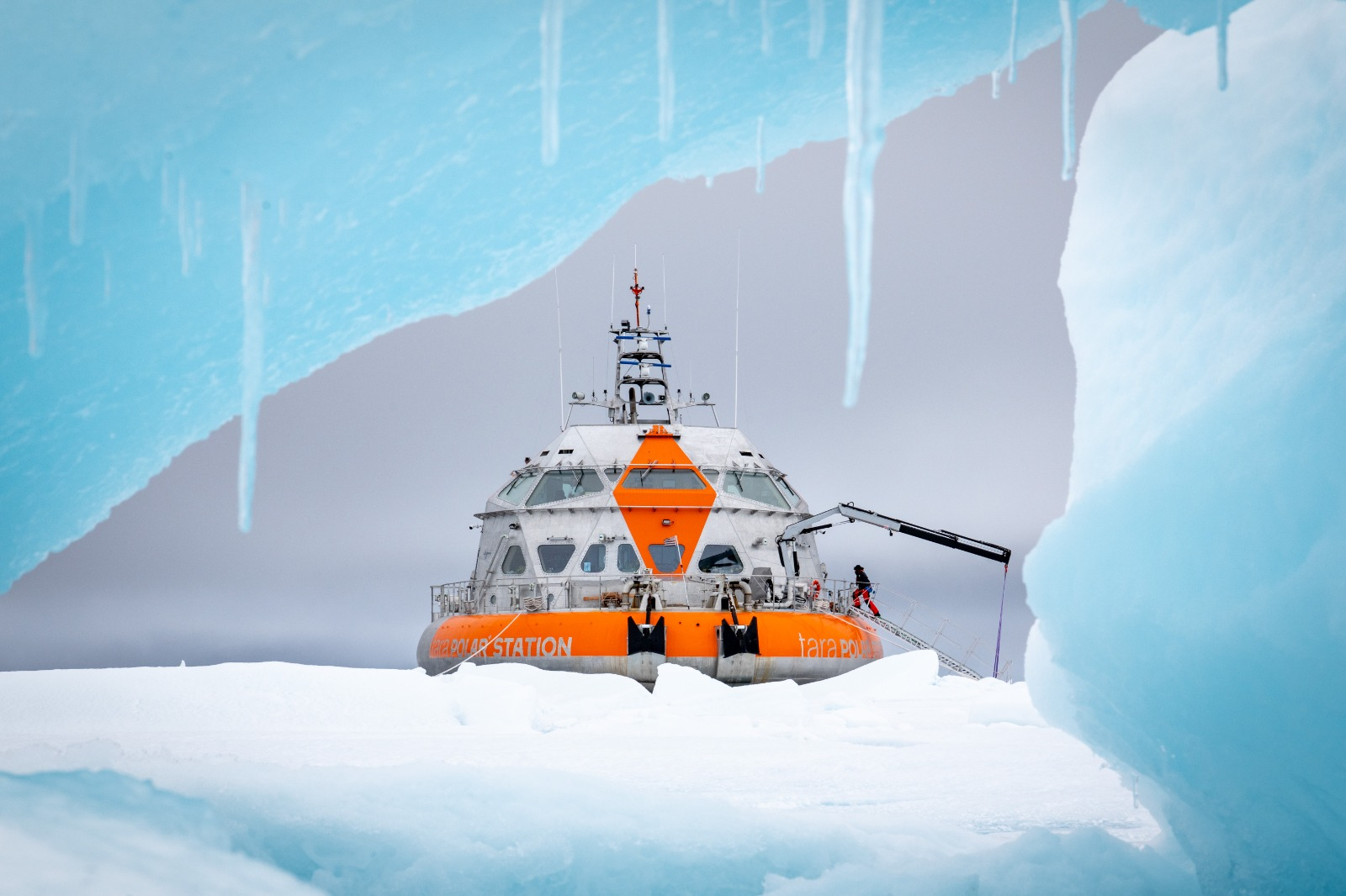 tara polar station 