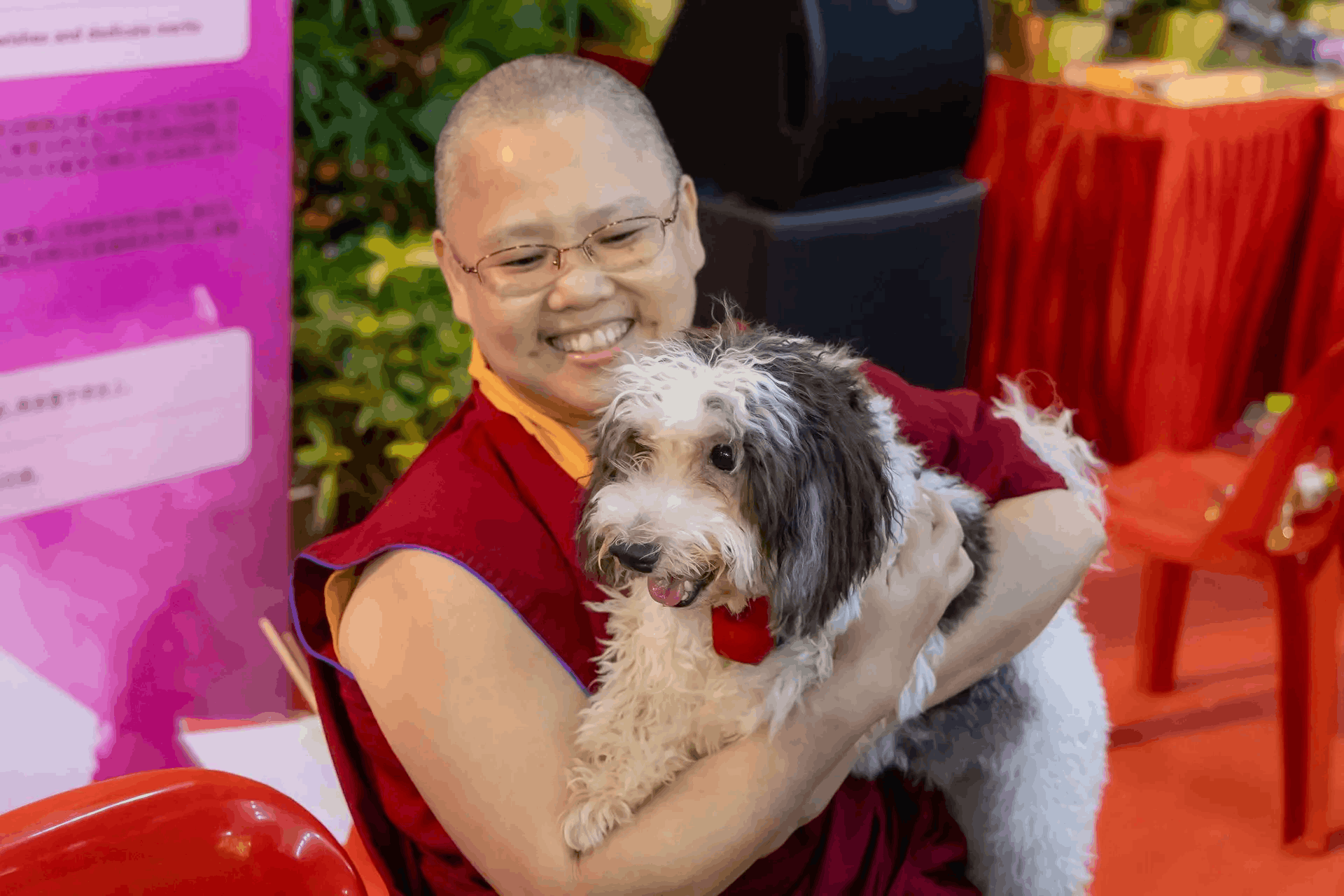thekchen choling vesak day festival 2026 our joyous vesak animal blessing ceremony 
