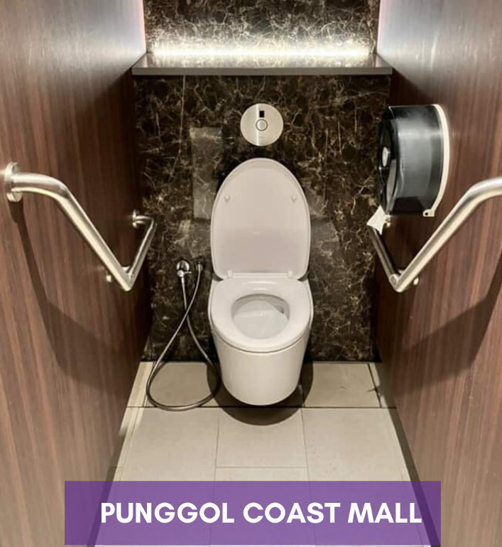 toilet with bidet