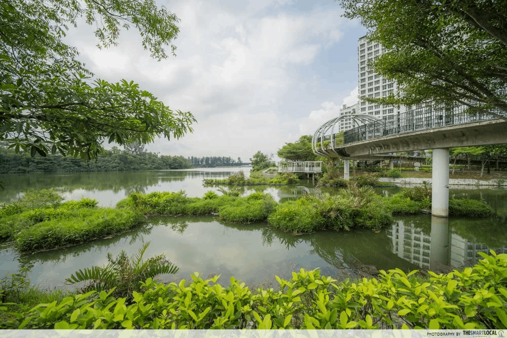 18 best solo date ideas singapore - jewel bridge punggol waterway park