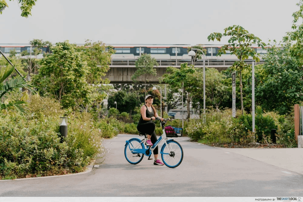 18 best solo date ideas singapore - coast-to-coast cyling trail