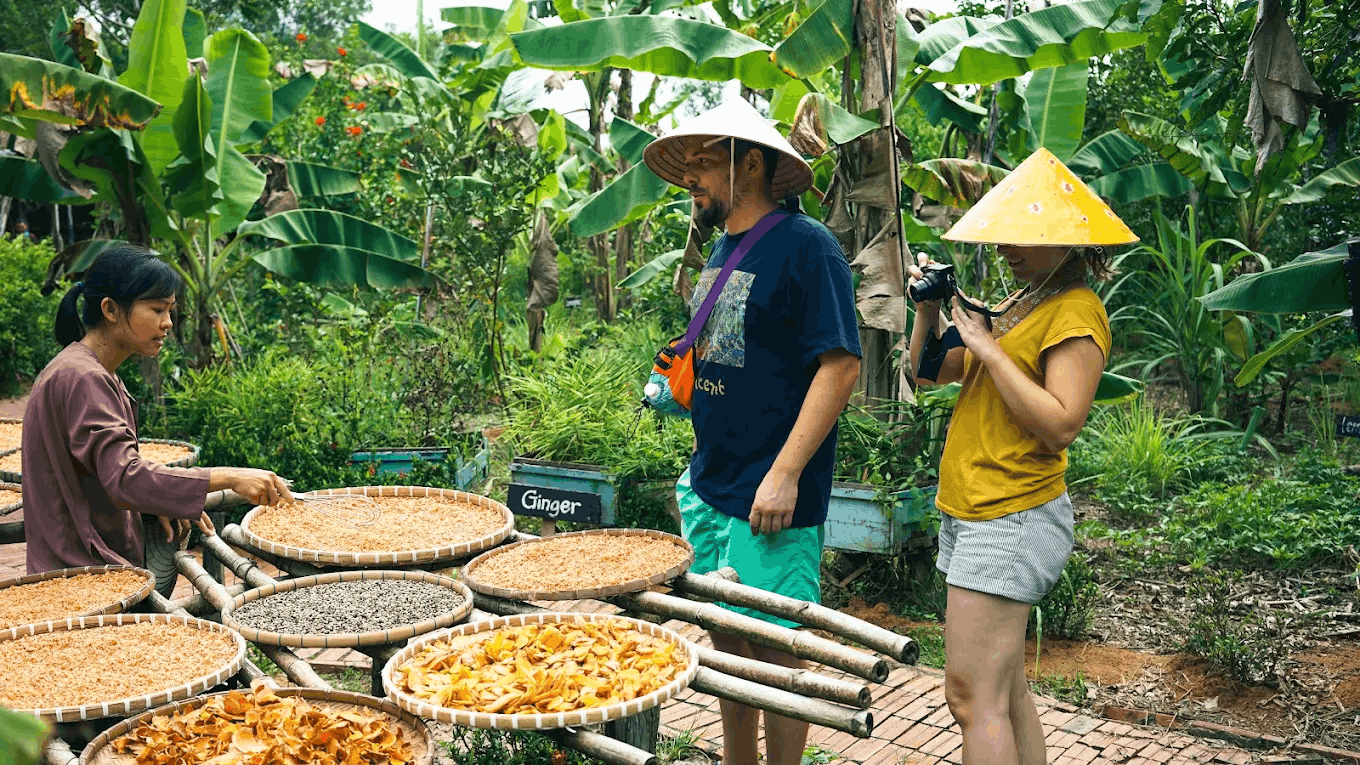 18 best things to do in phu quoc, vietnam - phu quoc countryside peper farm