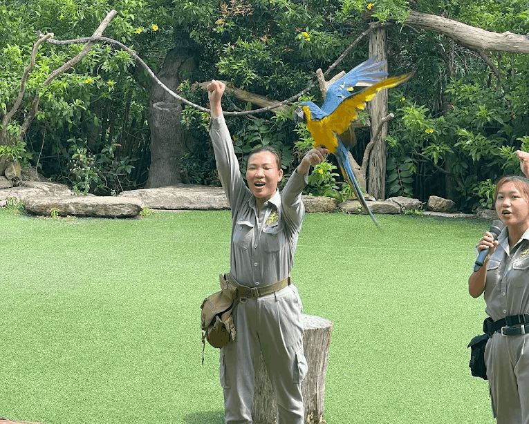 18 best things to do in phu quoc, vietnam - vinpearl safari