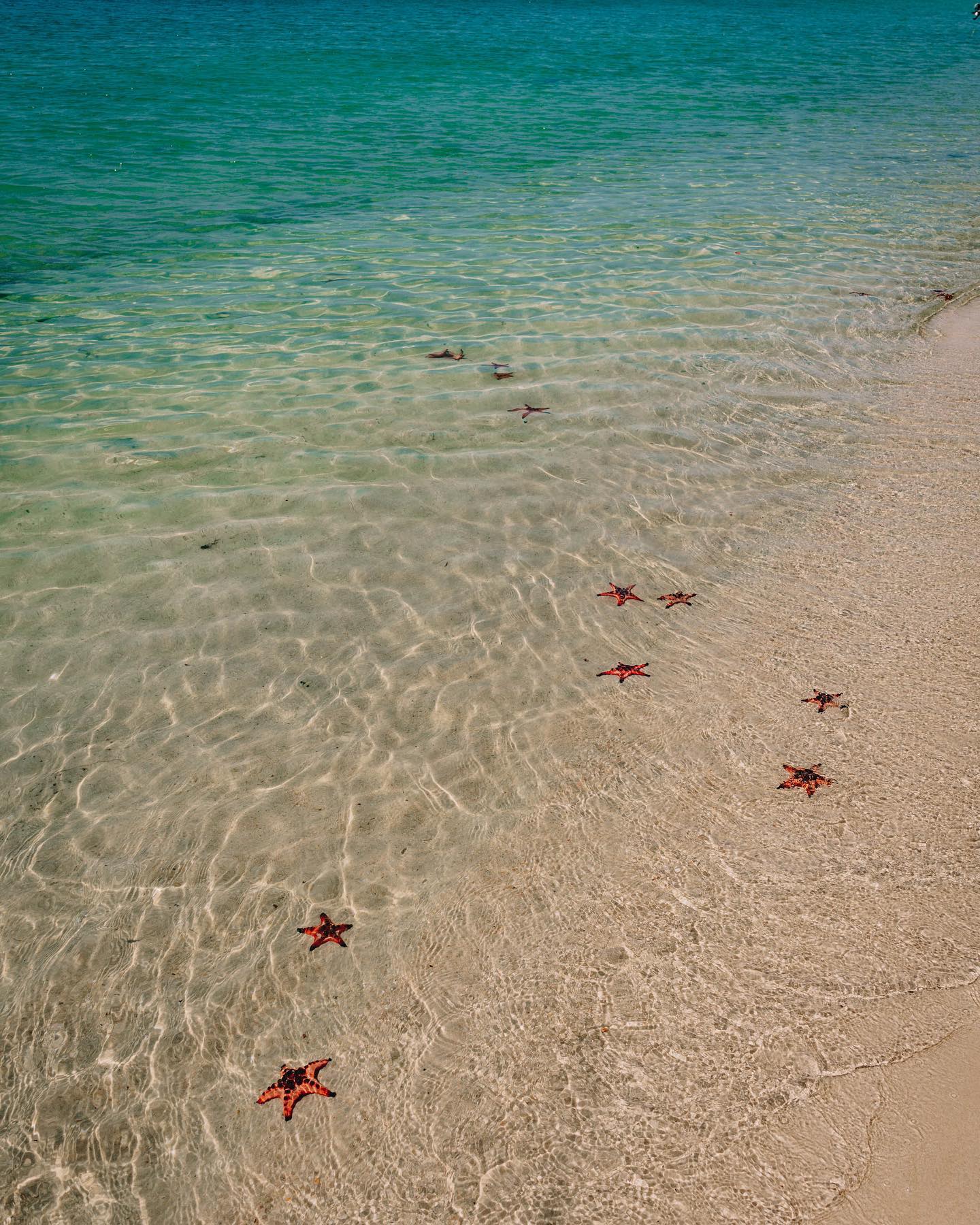 18 best things to do in phu quoc, vietnam - starfish beach
