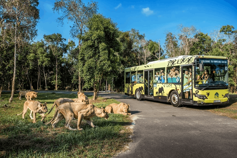 18 best things to do in phu quoc, vietnam - vinpearl safari