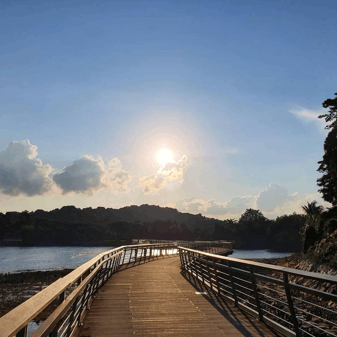 8 most romantic bus routes in singapore - bukit chermin boardwalk