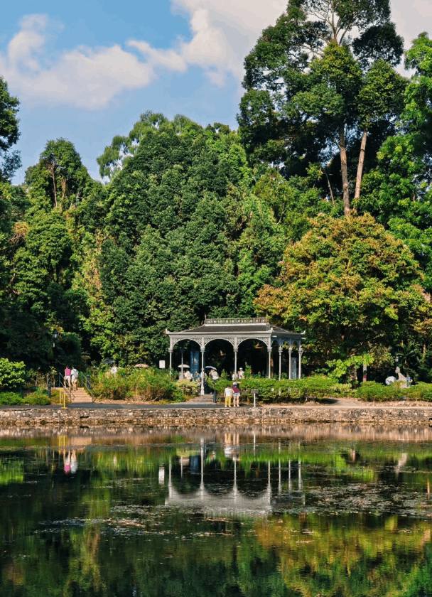 8 most romantic bus routes in singapore - swan lake botanic gardens