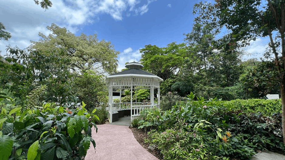 8 most romantic bus routes in singapore - therapeutic gardens hortpark