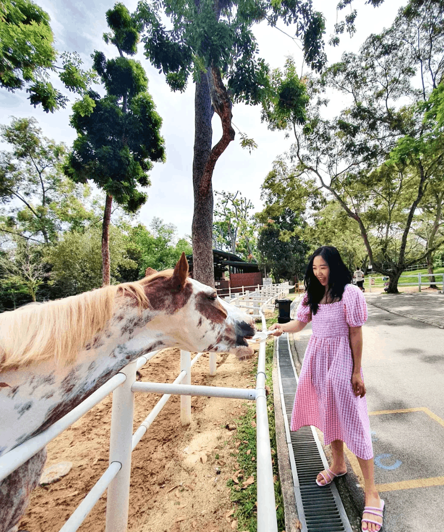 8 most romantic bus routes in singapore - gallop stable pasir ris park