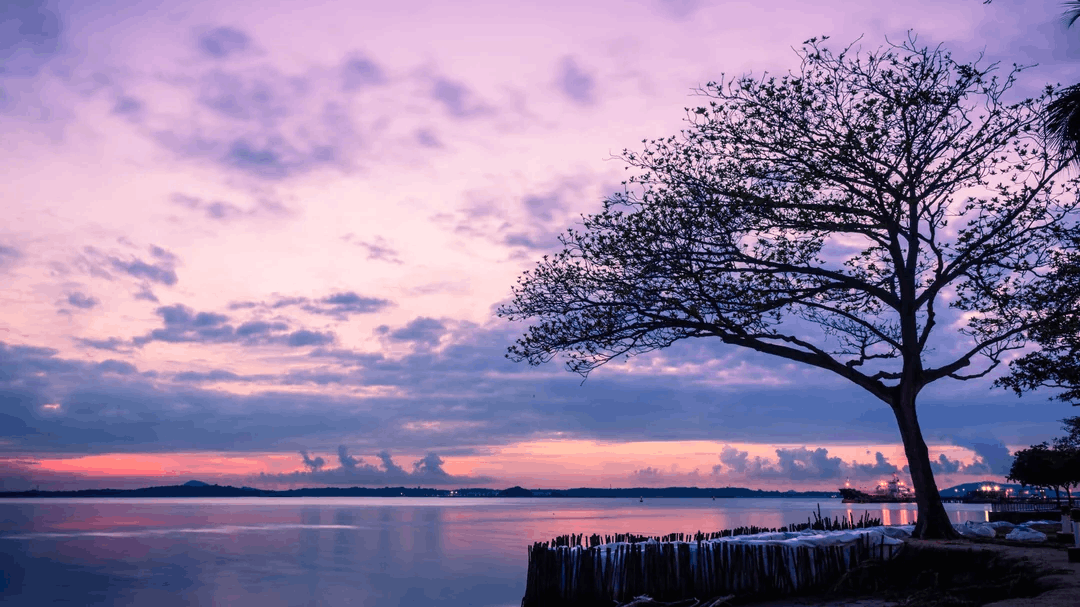 8 most romantic bus routes in singapore - changi beach park