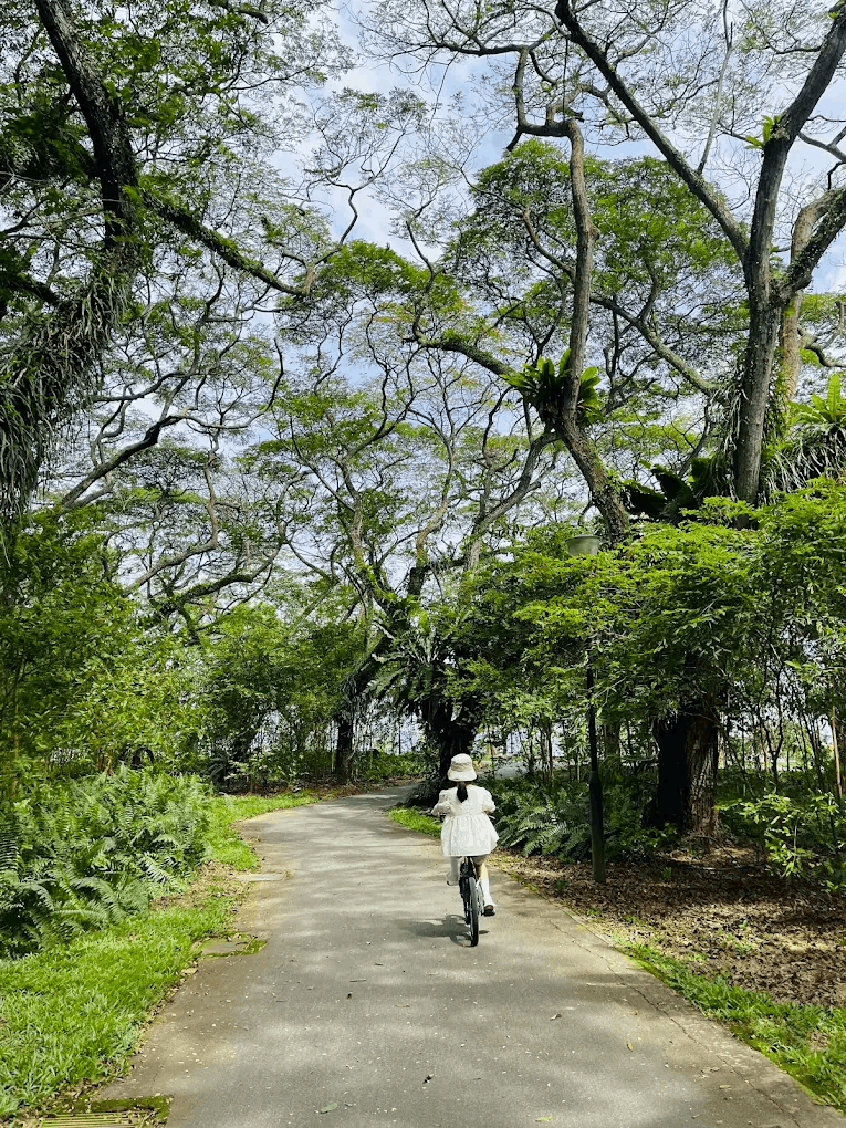 8 most romantic bus routes in singapore - pasir ris park