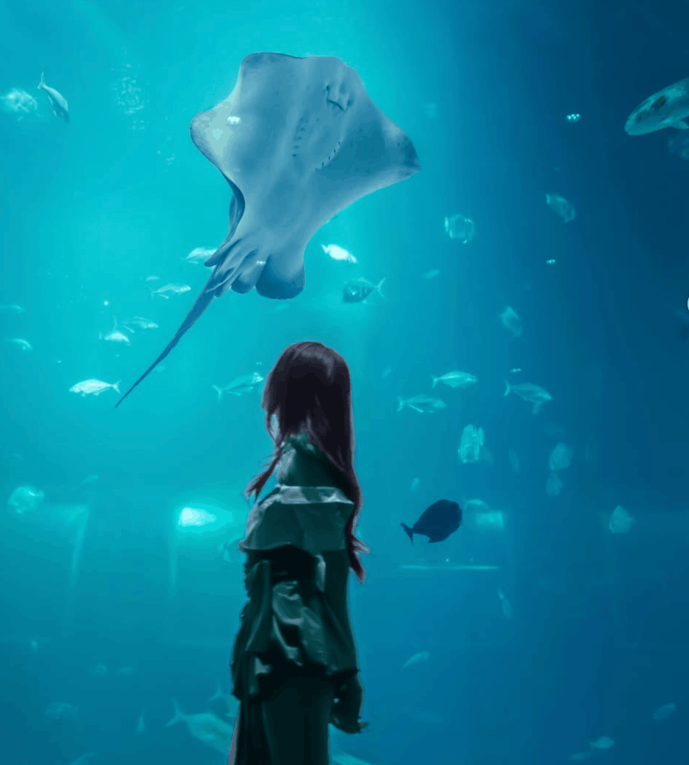 8 most romantic bus routes in singapore - singapore oceanarium