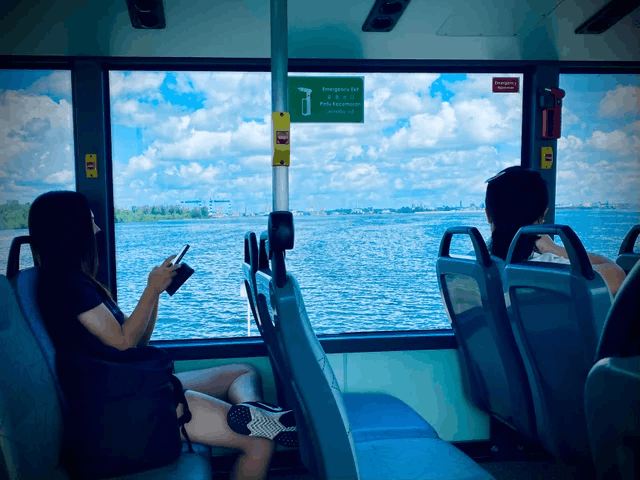 8 most romantic bus routes in singapore - bus 117 / bus 103 yishun dam spirited away