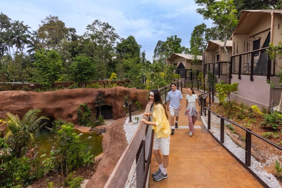 Glamping in the Wild Crocodile Lodge